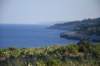 dsc_0598_small.jpg