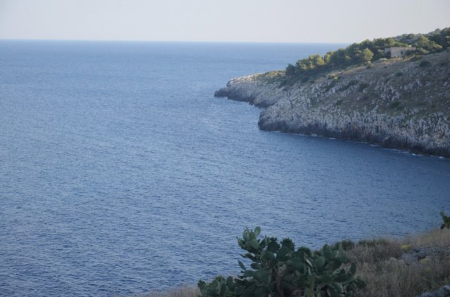 dsc_0605.jpg