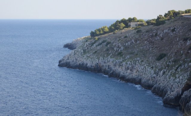 dsc_0608.jpg