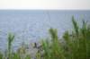 dsc_0647_small.jpg