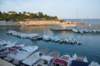 dsc_0682_small.jpg