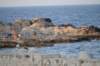dsc_0688_small.jpg