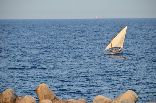 dsc_0690.jpg