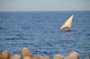 dsc_0690_small.jpg