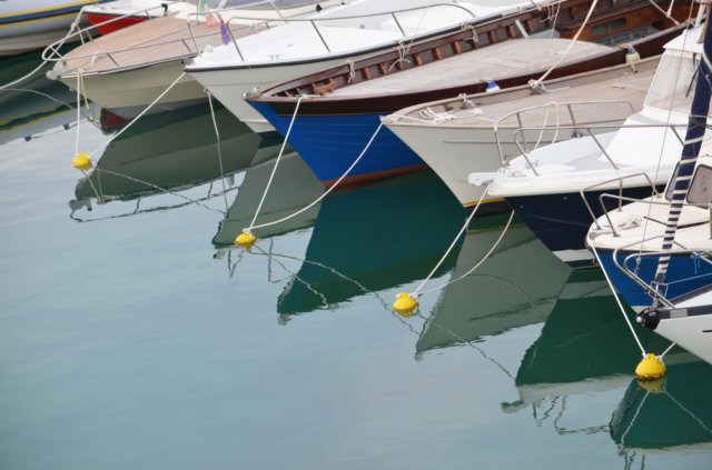 dsc_0696.jpg