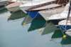 dsc_0696_small.jpg