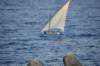 dsc_0697_small.jpg