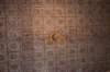 dsc_0761_small.jpg