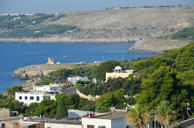 dsc_0804.jpg