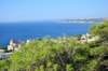 dsc_0817_small.jpg
