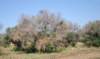 dsc_0863_small.jpg