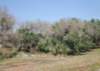 dsc_0864_small.jpg