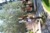dsc_0877_small.jpg