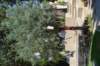 dsc_0895_small.jpg