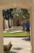 dsc_0909_small.jpg