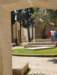 dsc_0910_small.jpg