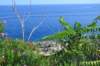 dsc_0986_small.jpg