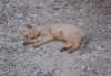 dsc_0988_small.jpg