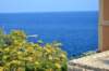 dsc_0993_small.jpg