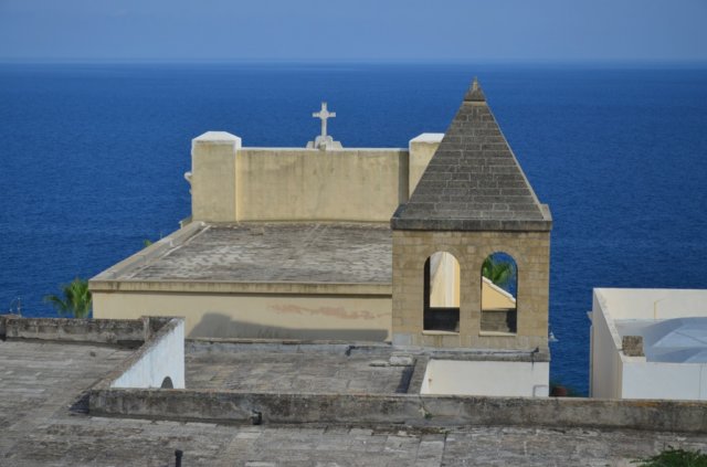 dsc_1007.jpg