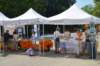 dsc_0550_small.jpg