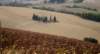 dsc_0287_small.jpg