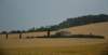 dsc_0348_small.jpg