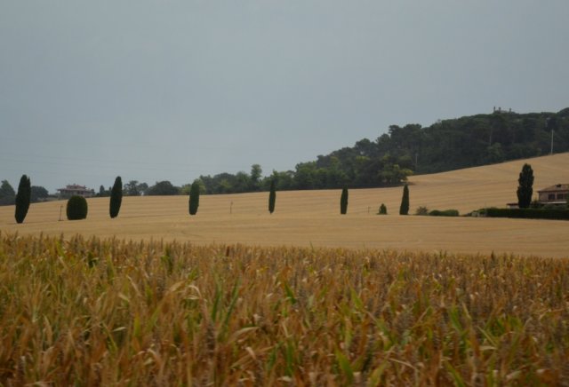 dsc_0352.jpg