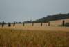 dsc_0352_small.jpg