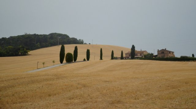dsc_0354.jpg