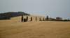 dsc_0354_small.jpg