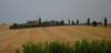 dsc_0358_small.jpg