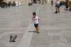 dsc_0855_small.jpg