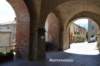 dsc_2036_small.jpg