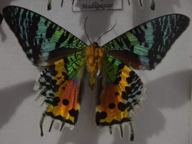dsc_2179.jpg
