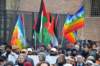 dsc_0080_small.jpg