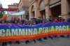 dsc_0161_small.jpg