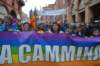 dsc_0165_small.jpg