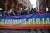 dsc_0174_small.jpg